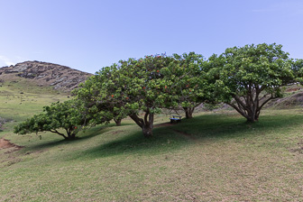 108A2350.jpg