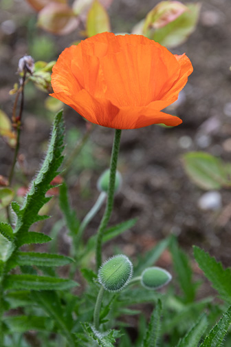 108A1671.jpg