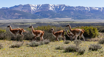 Torres del Paine