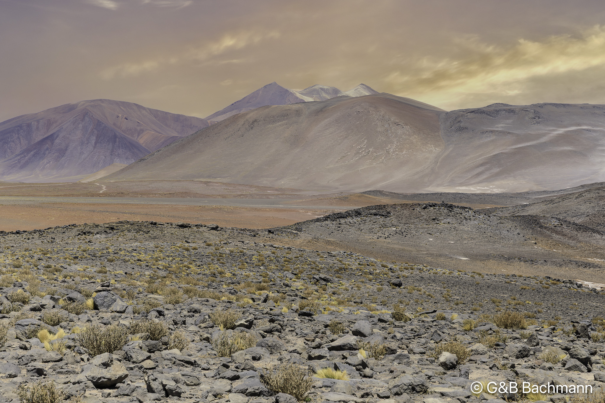 108A2962-Modifier.jpg