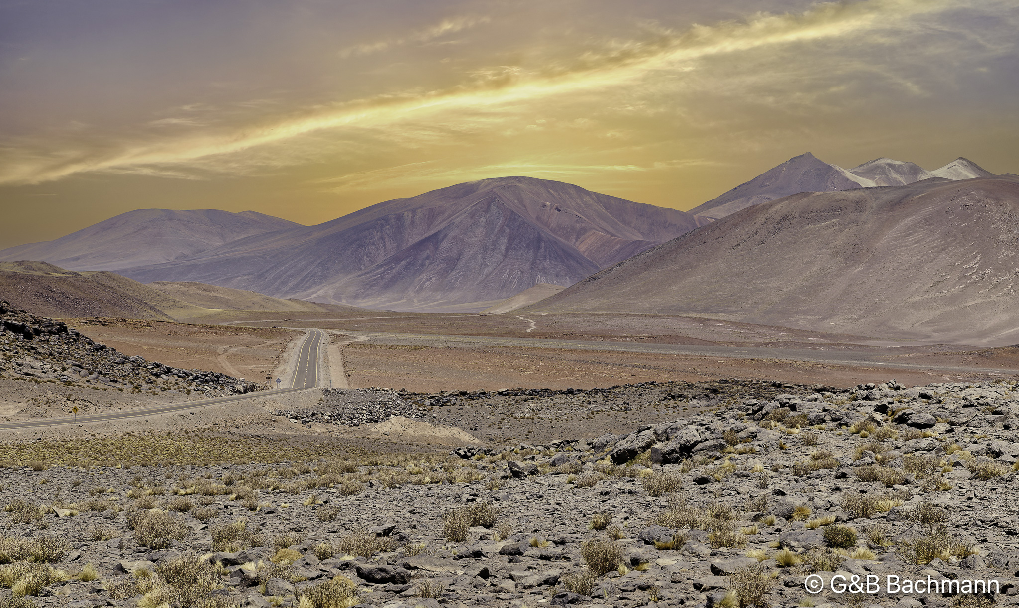 202510_Atacama_Chile-Modifier.jpg