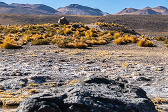 Atacama-Tatio Geysers