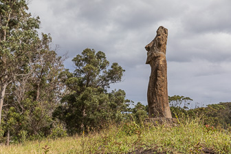 Huri Urenga