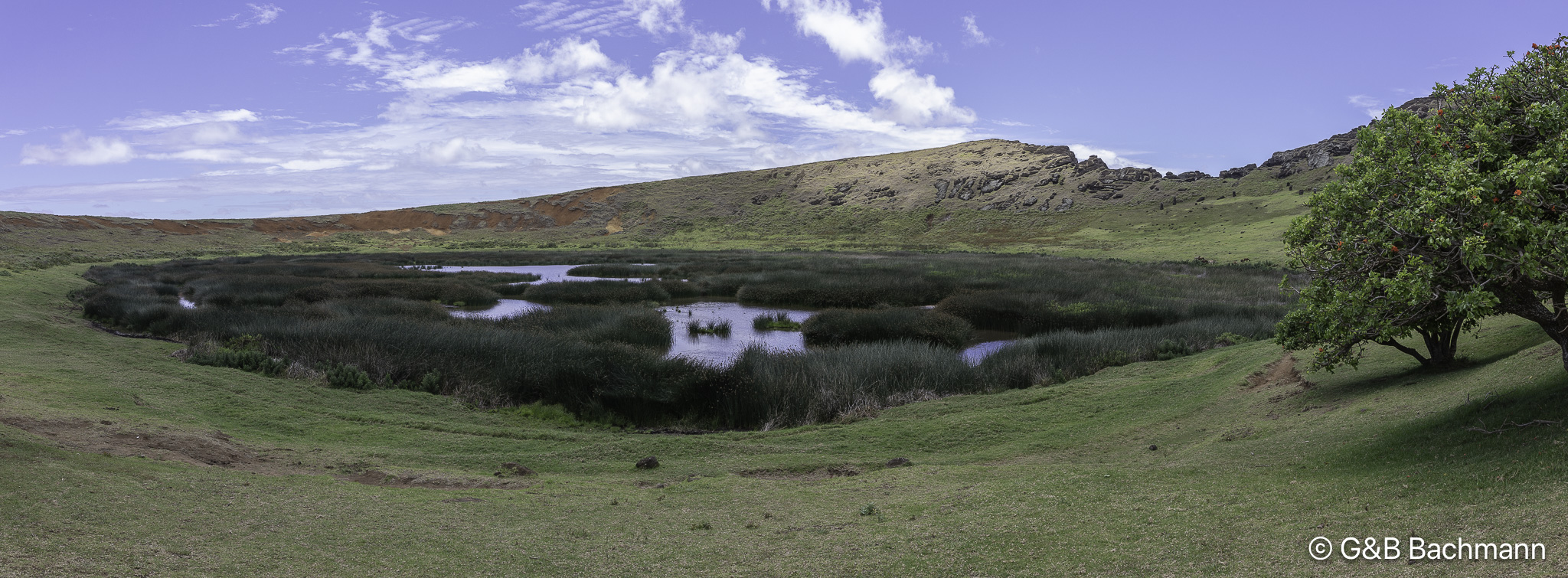 108A2348-Pano.jpg