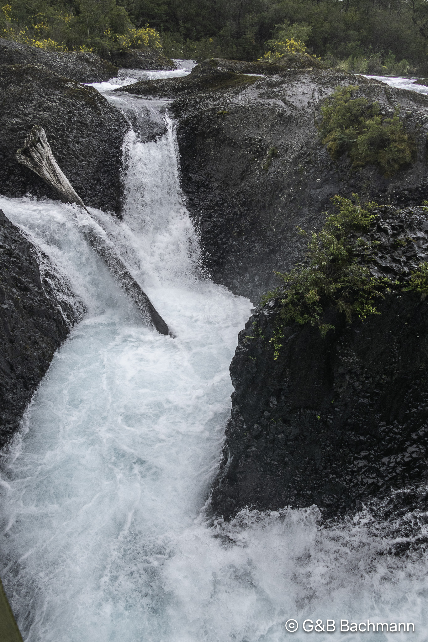 _1070315.jpg