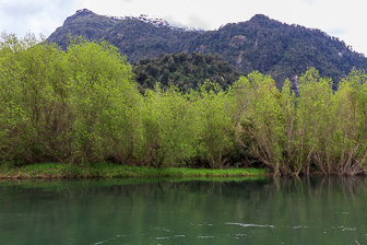 Peulla  and Llanquihue lake