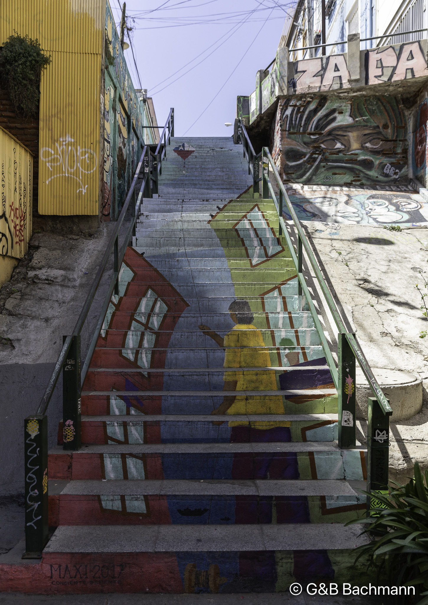 108A1146.jpg