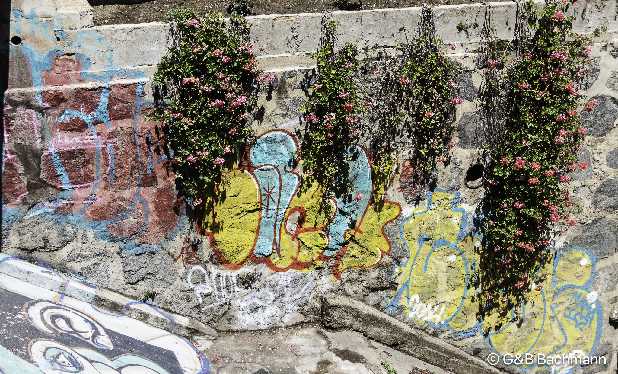 _1070070.jpg