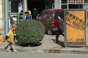 Store_0008.jpg