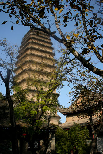 Pagode-de-l-Oie-Sauvage_0023.jpg