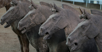 Terra_Cotta_Army_0073.jpg