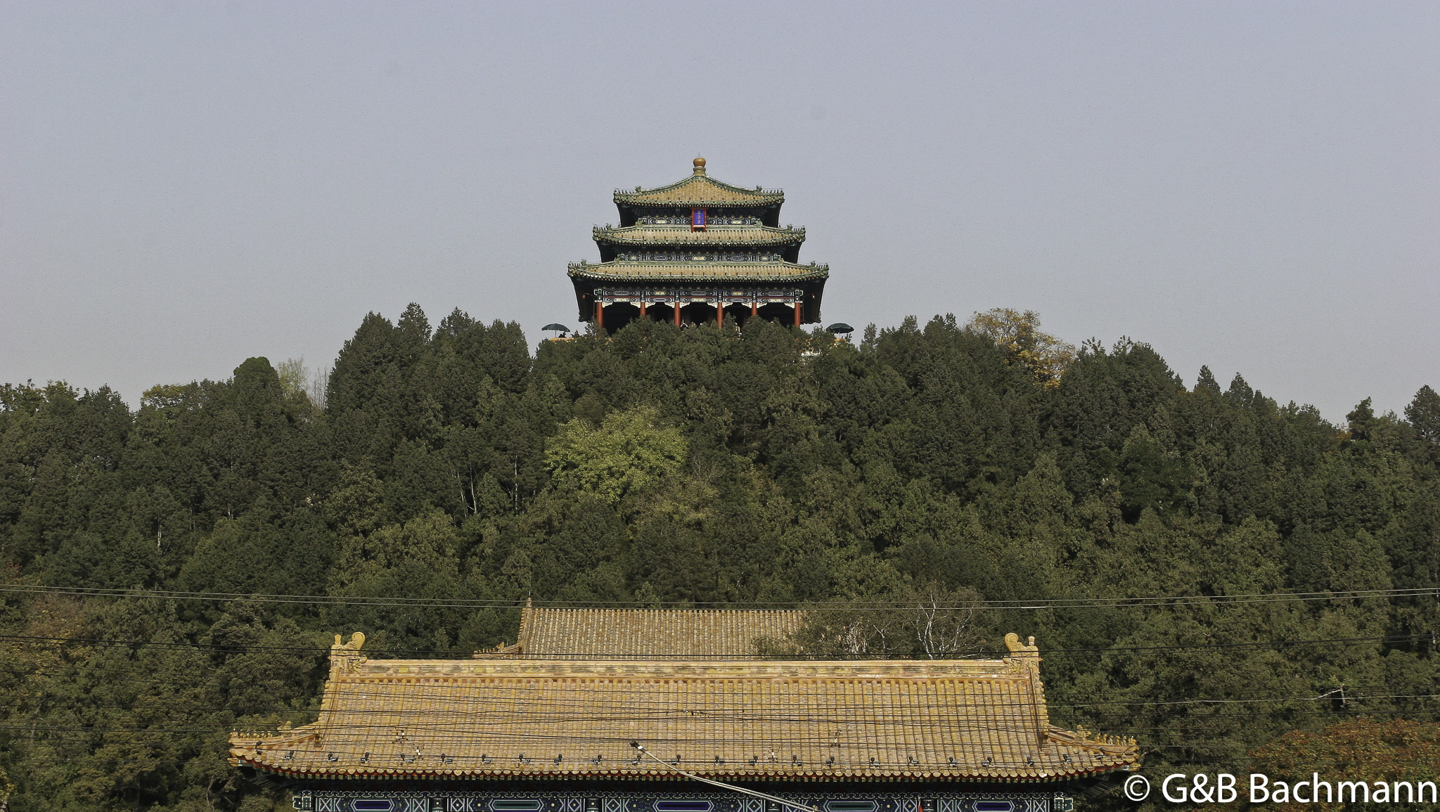 IMG_1771_DxO.jpg
