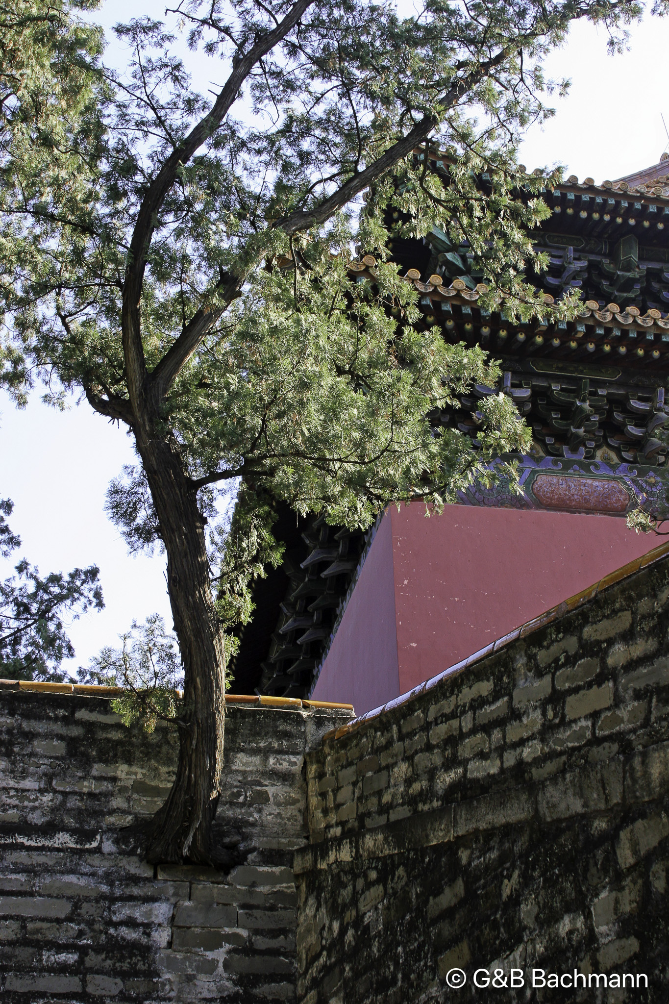 Tombeau-Ming_0023_DxO.jpg
