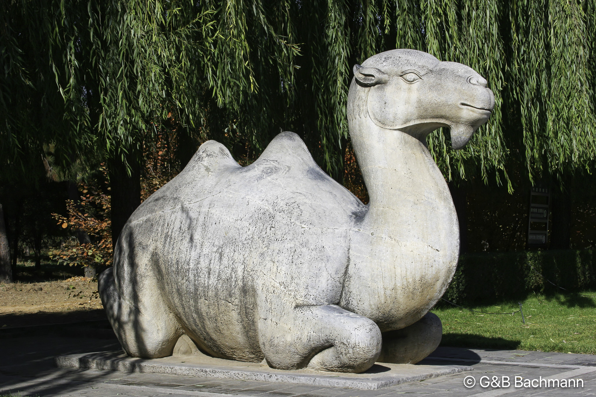 Voie-des-Esprits_0015_DxO.jpg