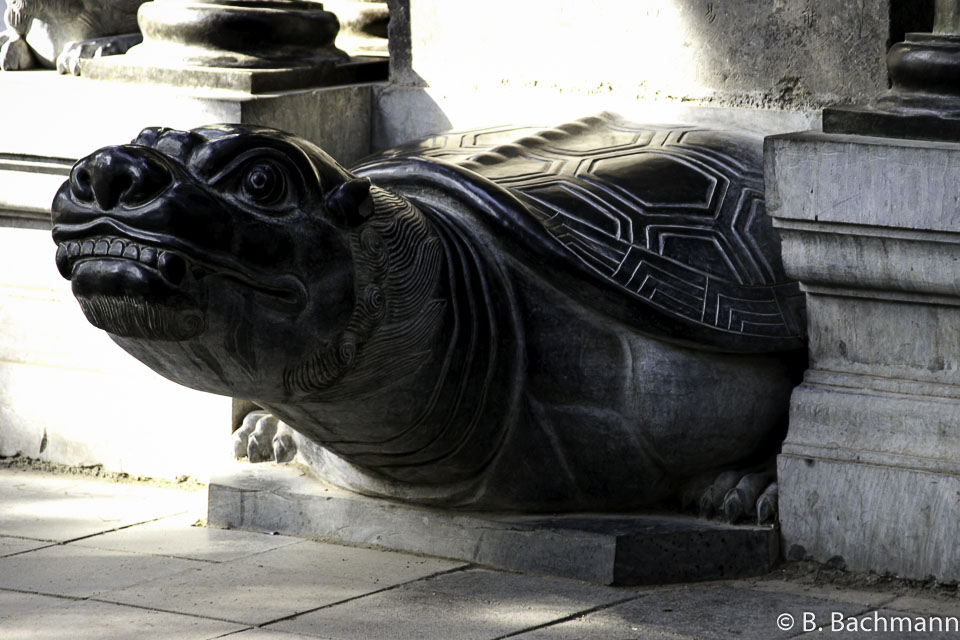 Shaolin_0018.jpg