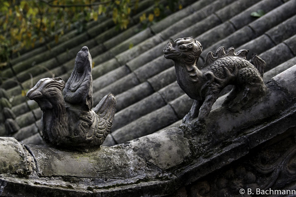 Shaolin_0057.jpg