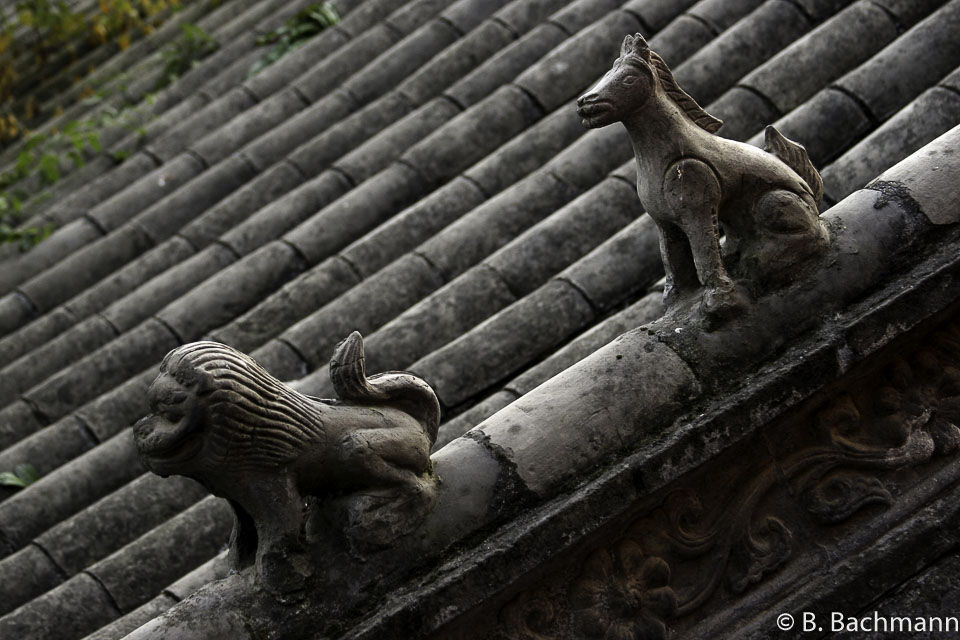 Shaolin_0058.jpg