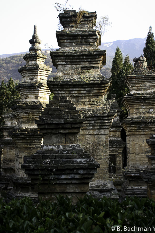 Shaolin_0076.jpg