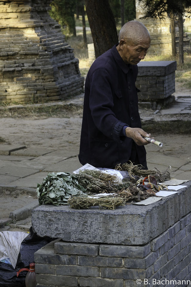 Shaolin_0085.jpg