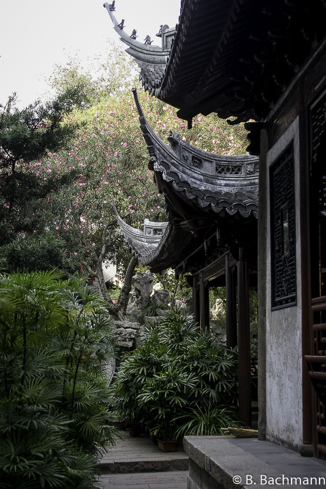 Jardin-M.Yu_0008.jpg