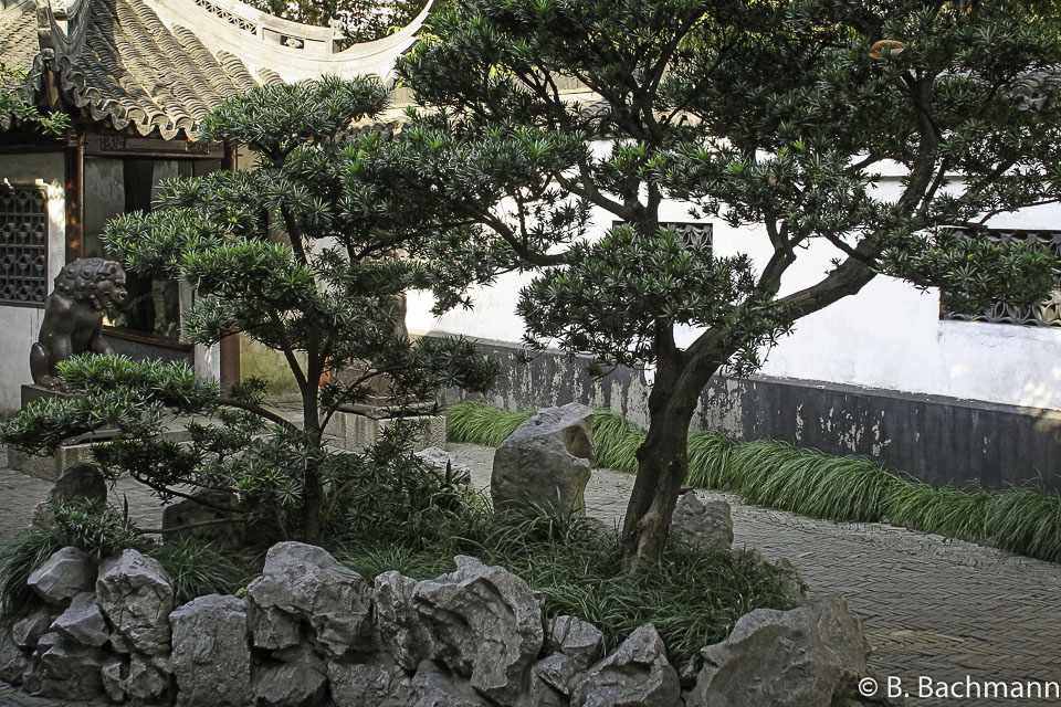 Jardin-M.Yu_0011.jpg