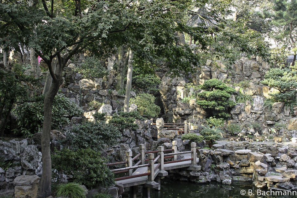 Jardin-M.Yu_0013.jpg