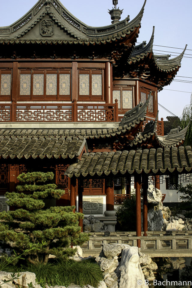 Jardin-M.Yu_0027.jpg