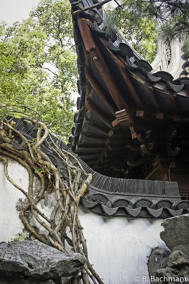 Jardin-M.Yu_0033.jpg