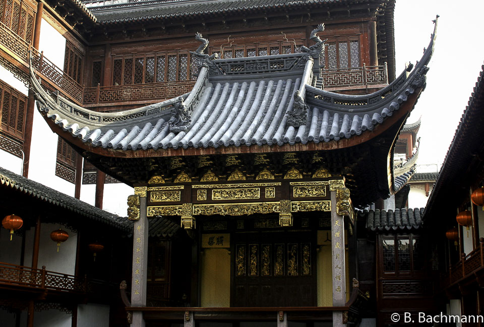 Jardin-M.Yu_0034.jpg