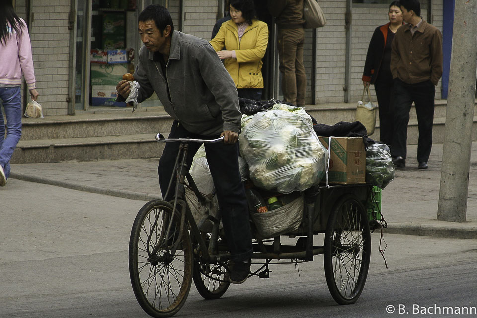 Cyclo_0009.jpg