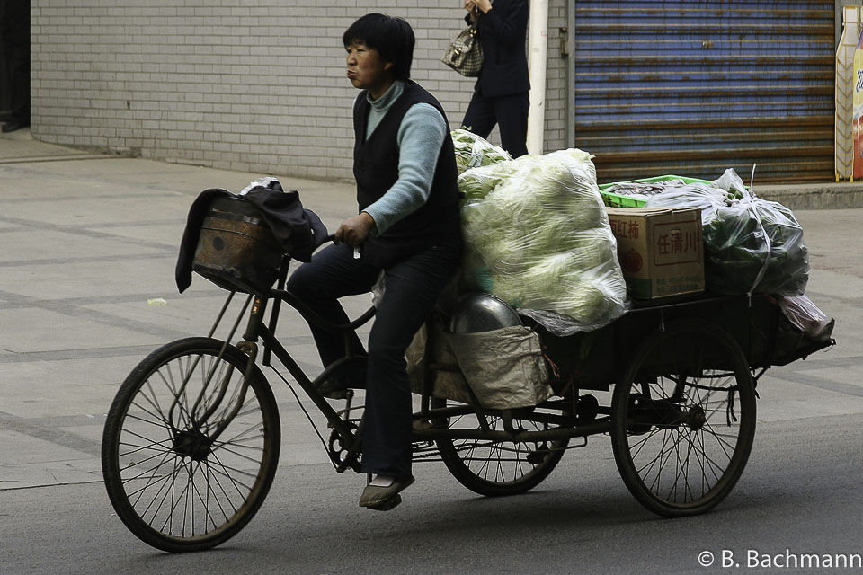 Cyclo_0010.jpg
