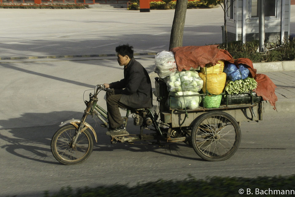 Cyclo_0019.jpg