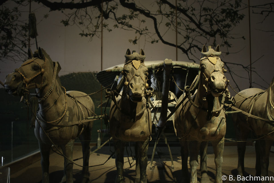 Xian-Musée_0003.jpg