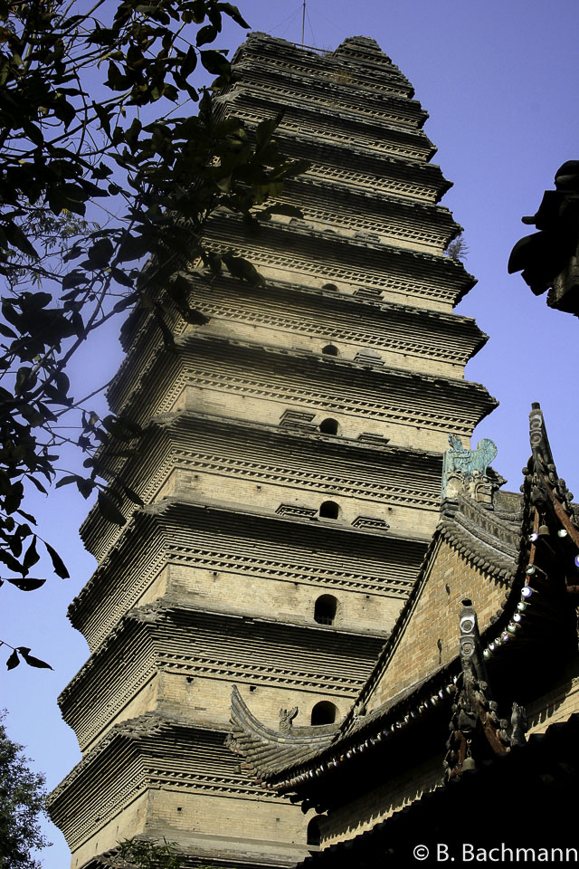 Pagode-de-l-Oie-Sauvage_0013.jpg