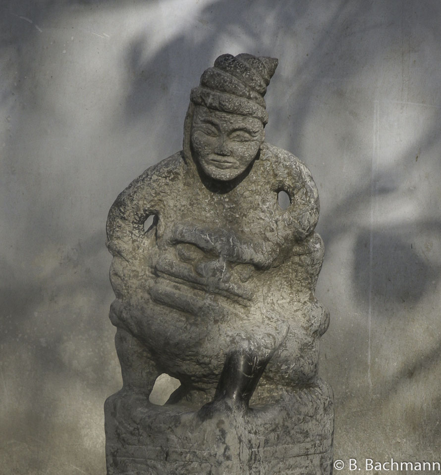 Pagode-de-l-Oie-Sauvage_0015.jpg