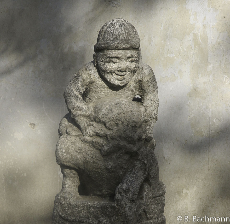 Pagode-de-l-Oie-Sauvage_0016.jpg