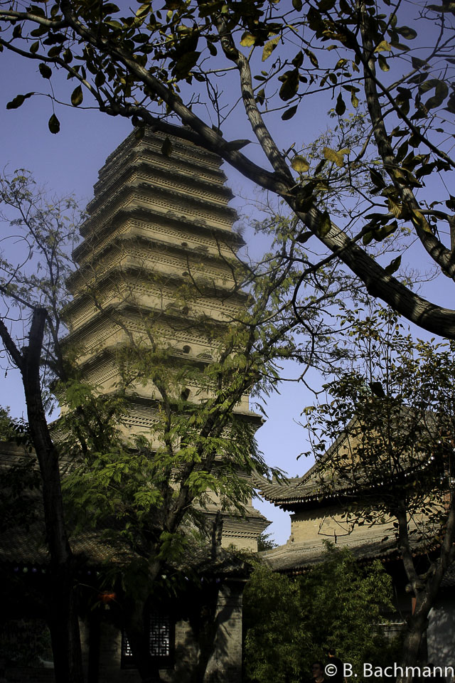 Pagode-de-l-Oie-Sauvage_0023.jpg