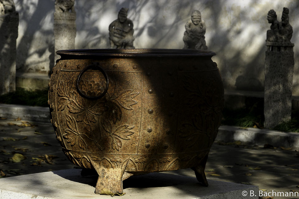 Pagode-de-l-Oie-Sauvage_0024.jpg