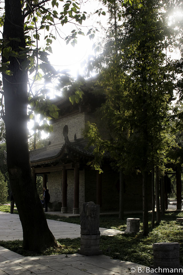 Pagode-de-l-Oie-Sauvage_0028.jpg