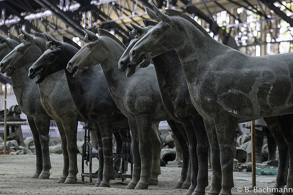 Terra_Cotta_Army_0074.jpg