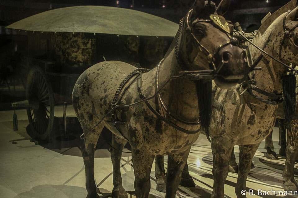 Terra_Cotta_Army_0099.jpg