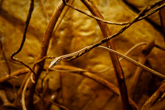 0W0A1904_DxO-1.jpg