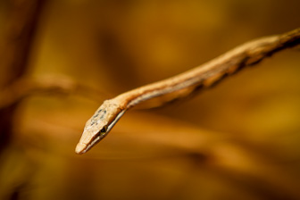 0W0A1907_DxO.jpg