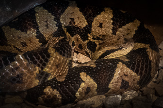 _1130304-Modifier.jpg
