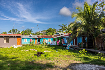 0W0A0589.jpg