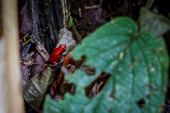 0W0A0747_DxO.jpg