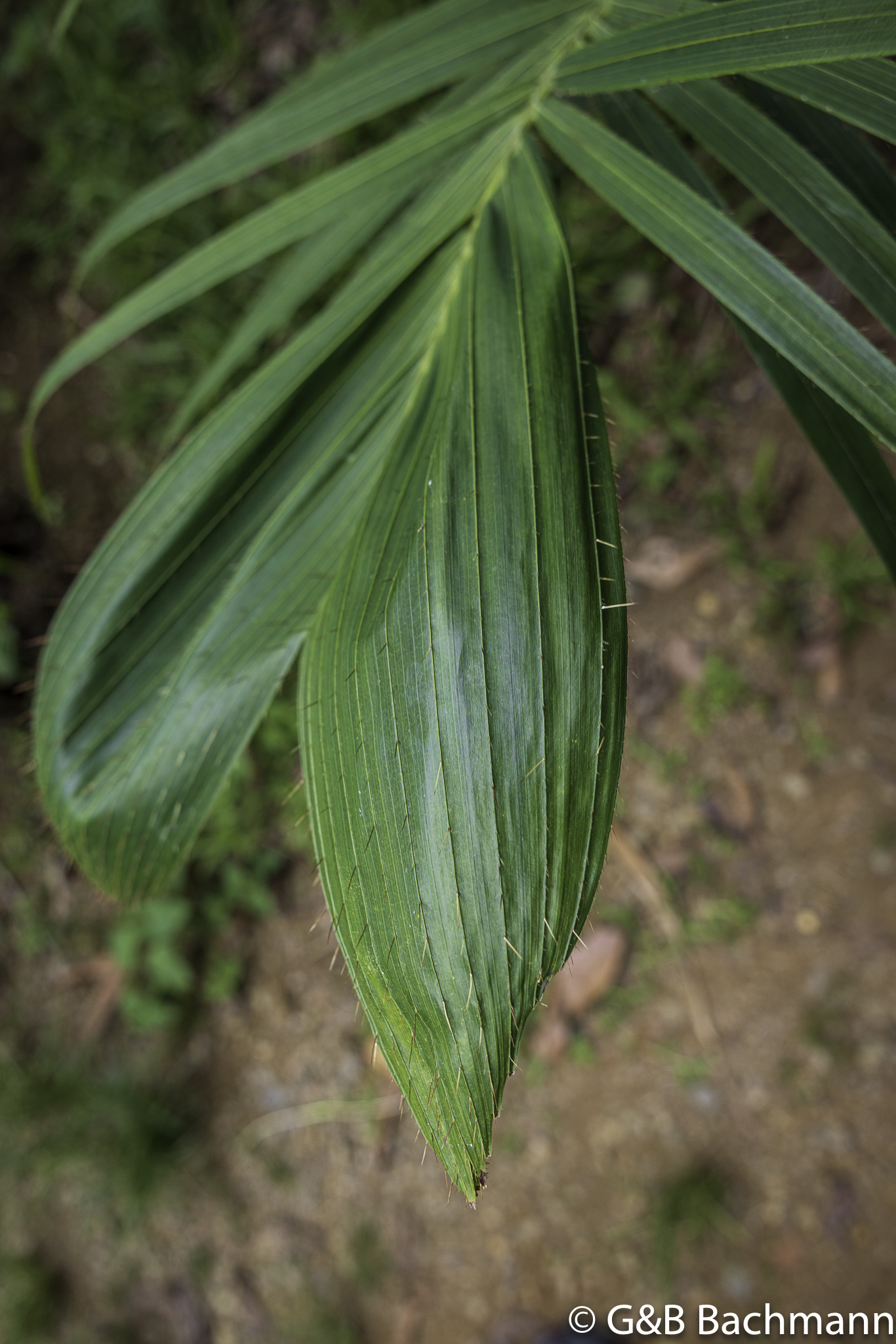 0W0A0945.jpg