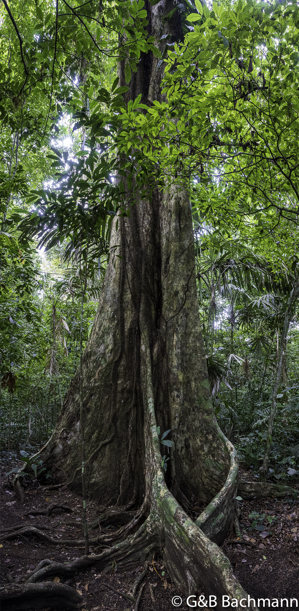 0W0A1032-Pano.jpg