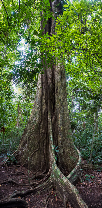 0W0A1032-Pano.jpg