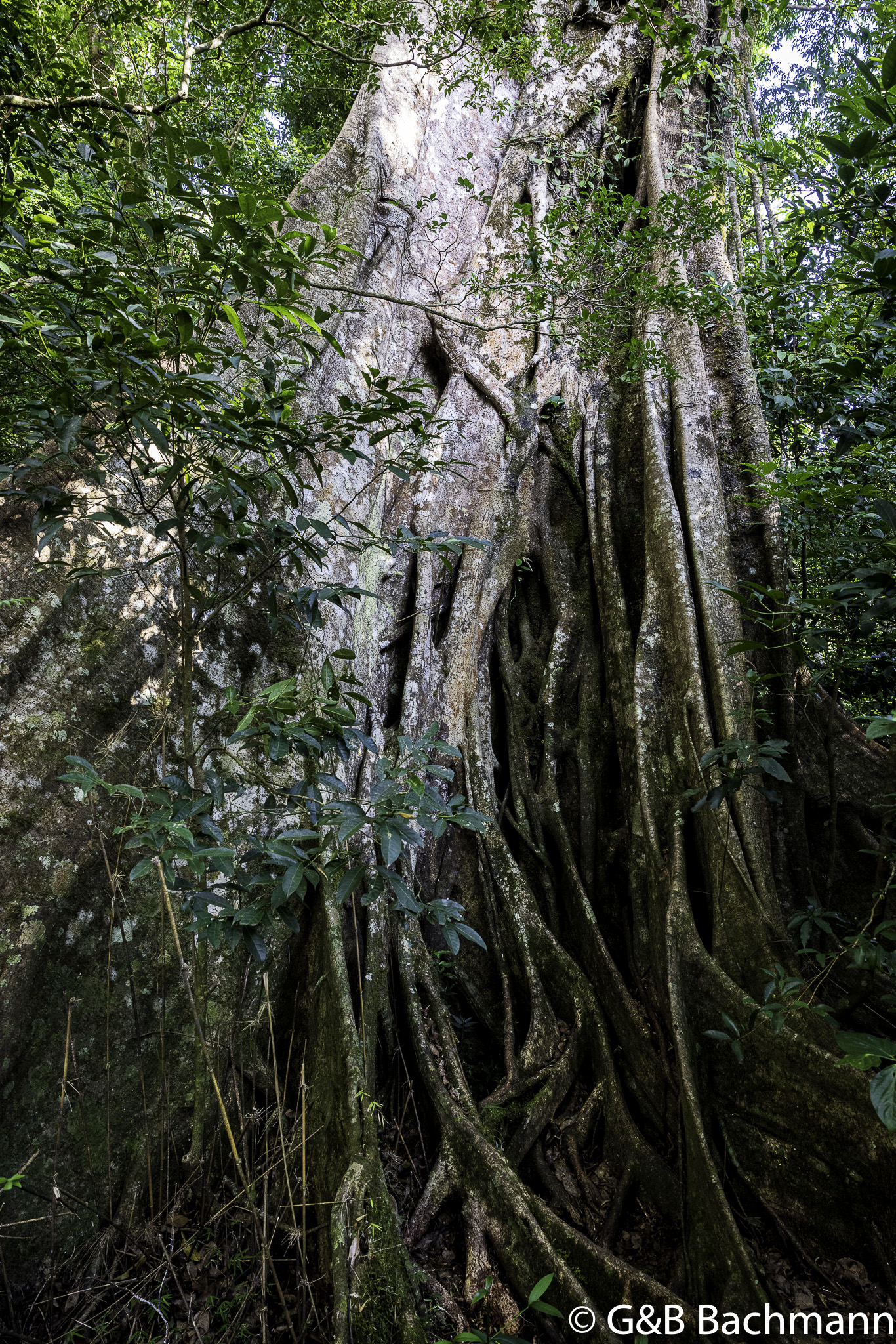 0W0A1134.jpg